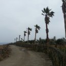 장관목장 이미지