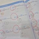 정철학원 | 아이 수준에 맞춘 1:1 맞춤 학습, 탕정수학학원 정철어학원 탕정캠퍼스 후기