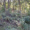 예리2리경로당 이미지