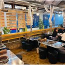 멍텅구리꼼장어 이미지