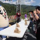 횡성더덕농가 이미지