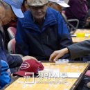 장군멍군 장기 이미지