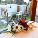 성동가가 이미지