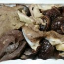 잘생긴 돼지소 이미지