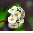 자연생태공원 부천식물원 이미지