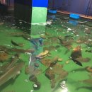 일산바다실내낚시터 이미지