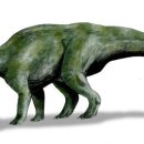 프로토케라톱스 이미지