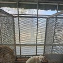 마리 도동마을 이미지