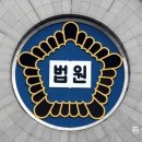 음주운전 사고 후 수풀에 숨은 30대 “내 차 맞지만 운전 안 했다” 이미지