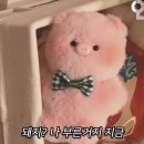 보드람치킨상도점 | 5월엔 많이 안 먹은 줄 알았던 건 착각이었어 유후ㅋ_ㅋ