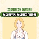 개금진치과의원 | 부산광역시 부산진구 개금동 교정치과 총정리