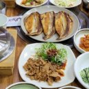 포동이 펫살롱 이미지