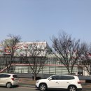 초아스마트팜 | 청년창업농 영농정착지원사업 면접 후기 <구미코>