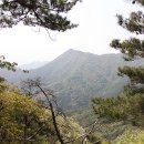 청도군-14 이미지