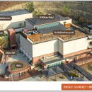 숲을향한시선 이미지