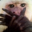 경원대로1403번길 이미지