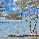 국민힐링 이미지