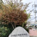 태백산맥길 이미지