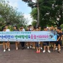 회산백련지 이미지