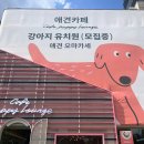 퍼피라운지