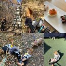 비래골길 | 대전 힐링하개 사운드워킹 2차 참가 후기 :: 코스요리 선물 후기