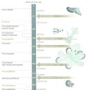 ﻿Higher Functions & Intelligence 이미지