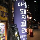 마당쇠돼지꼬리