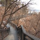 홍릉초교 이미지