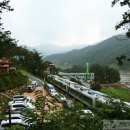 곡성 섬진강 기차마을 펜션 이미지