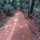 보라매약수터 이미지