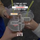 미선네과일