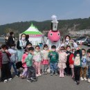 해군사관학교에 벚꽃을 보고왔어요!🌸🌸 이미지