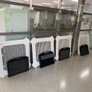 진영중앙초등학교 이미지