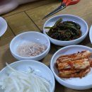 단양면옥 | 강원도 양양 맛집 :: 단양면옥:: 회냉면+수육+사리