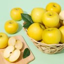 더조은과일 - 남양주시 별내5로 24 | 더조은과일