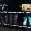 체리쉬독 이미지