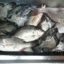 등대바다낚시터 이미지