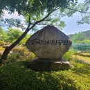 노란꽃돼지집 이미지