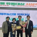 대정유통