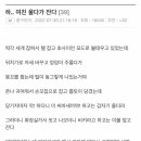 겔러리모텔 이미지