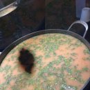 완산-101 이미지