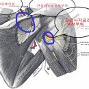 참벗한의원 이미지