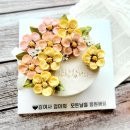 밀양우체국 이미지