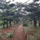 365아일랜드민박 이미지