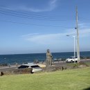 보롬코지 이미지