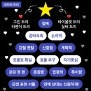 네이비트리