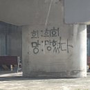 소중한 것들을 잠시의 영원이라 믿으며 섬 저편에 두고 온 것들에게 미뤄왔던 대답을 선물했지