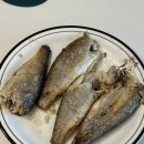 마운자로 2주차 후기, 일주일 만에 -3kg 감량 효과와 탄수화물 권태기 /마운자로내돈내산후기