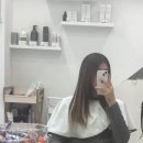 이상형미용실 | 홍대 붙임머리 미장원지슬 붙임머리 & 미용실 후기!
