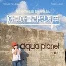 아쿠아오라 | 제주 아쿠아리움 입장권 할인 공연 시간 정보 아쿠아 플라넷